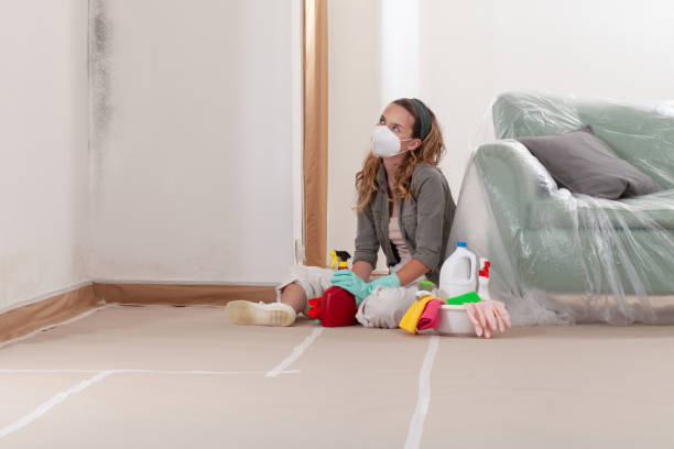 Reliable Mold Remediation contractor in Montville, NJ by Mold Remediation HQ